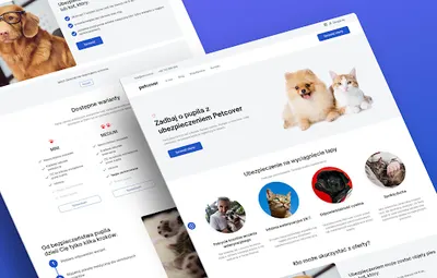 Tworzenie stron i sklepów internetowych | WebAsedi Studio Wrocław